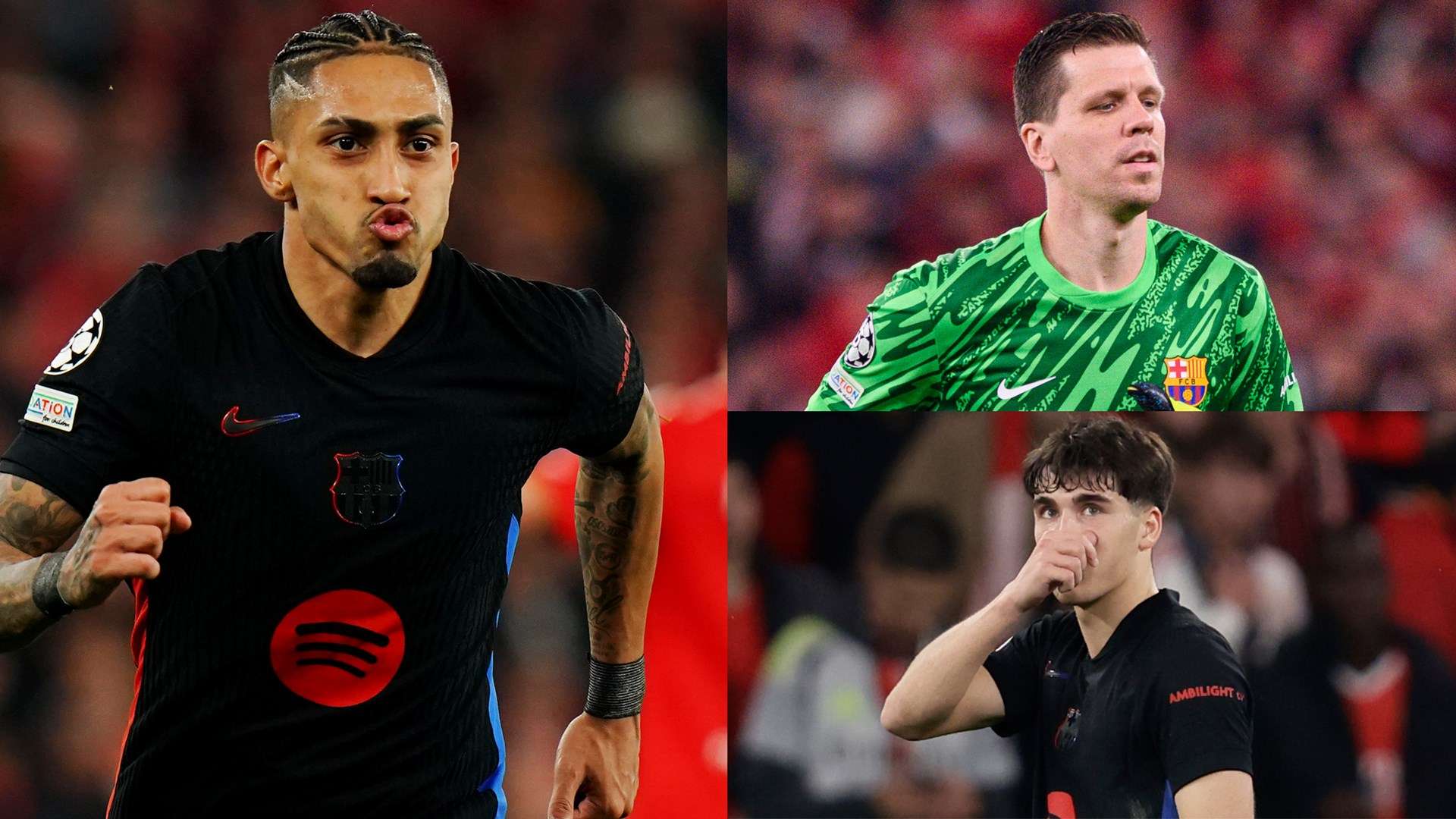 一個屬於藍 一個屬於藍